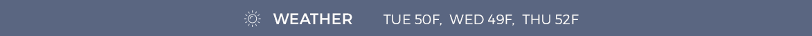 weather-widget-psuedo-img